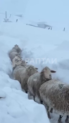 �������� ����� � ���������: � ������, ����� ������������ ���� ������, �� ����� ������ ����� ����� ������� � ���� � ���� ������������� �� ������� ��������