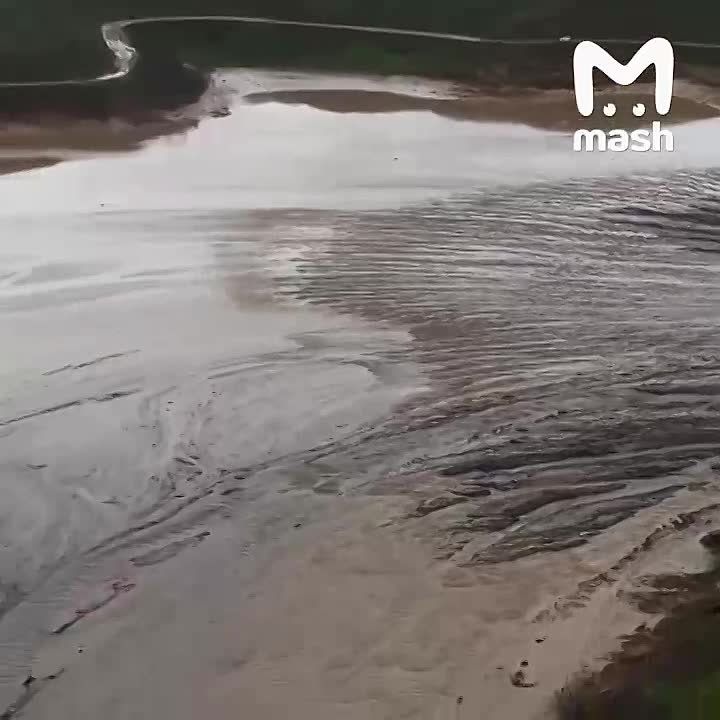 �������������� ����������� ������� �������������� ��������� ����� ����� 10 ���