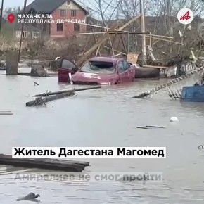 «Мама, мы не хотим умирать»