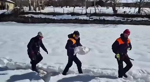 ��������� ��� ������ ������������ ������������� ������� � ����� ����� �� ��������������� ������� ���������