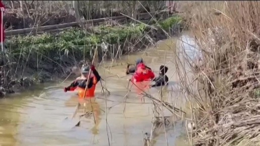 � ��������� ����� 1,4 ���. ����� �������� ������������� ����� ������