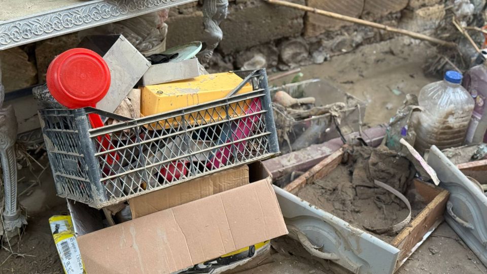 ���� ���������� �������� ����������� ����� ������� ���������