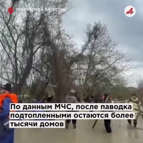 ������� ���� ����� ������. ��� ������ ��������� ������� � ������������� ������