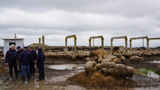 ������� ��������� ������� ���������� ��������� ������� ����� ����������