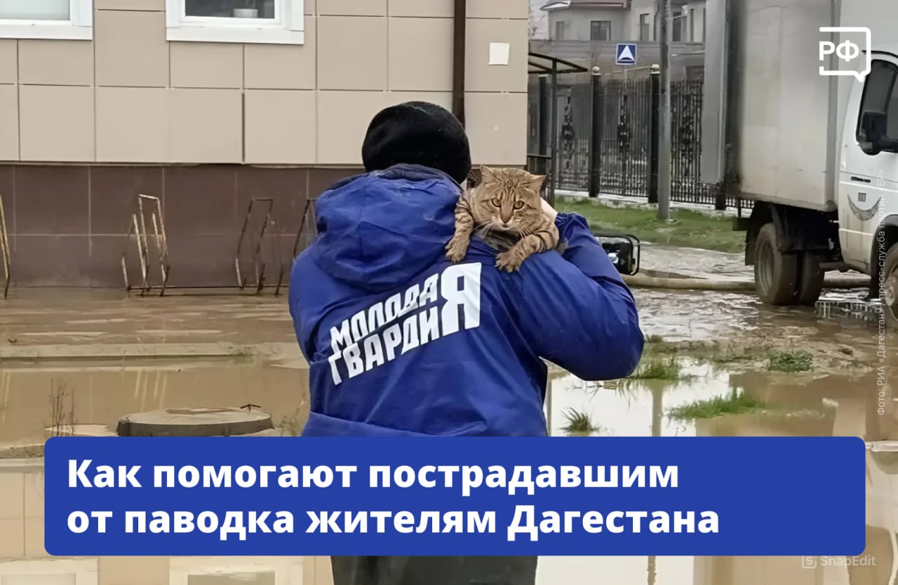 «Дагестан! Мы с тобой!» — под таким девизом проходит срочный сбор Народного фронта