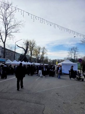 � ��������� ��������� ����������������� ������� Faida, ������� ��������� ��� ���