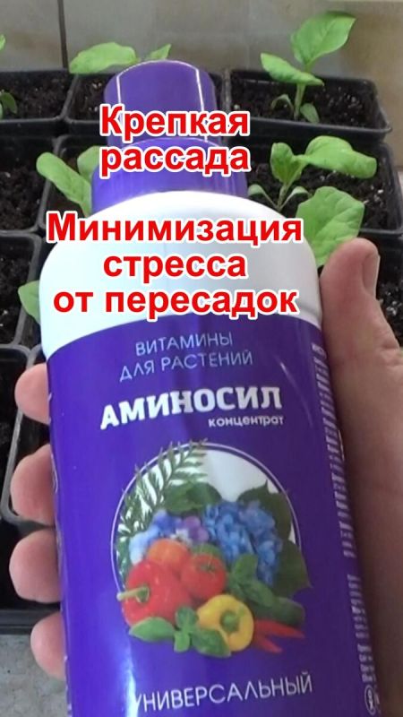 ��������: ������ �������� ������� � ��������� ��������