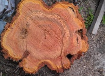 ��� �������� ������� � ������ ���������� ��� ���