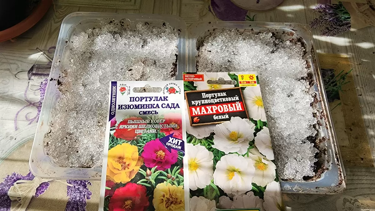 Как просто вырастить портулак: секреты успешного посева