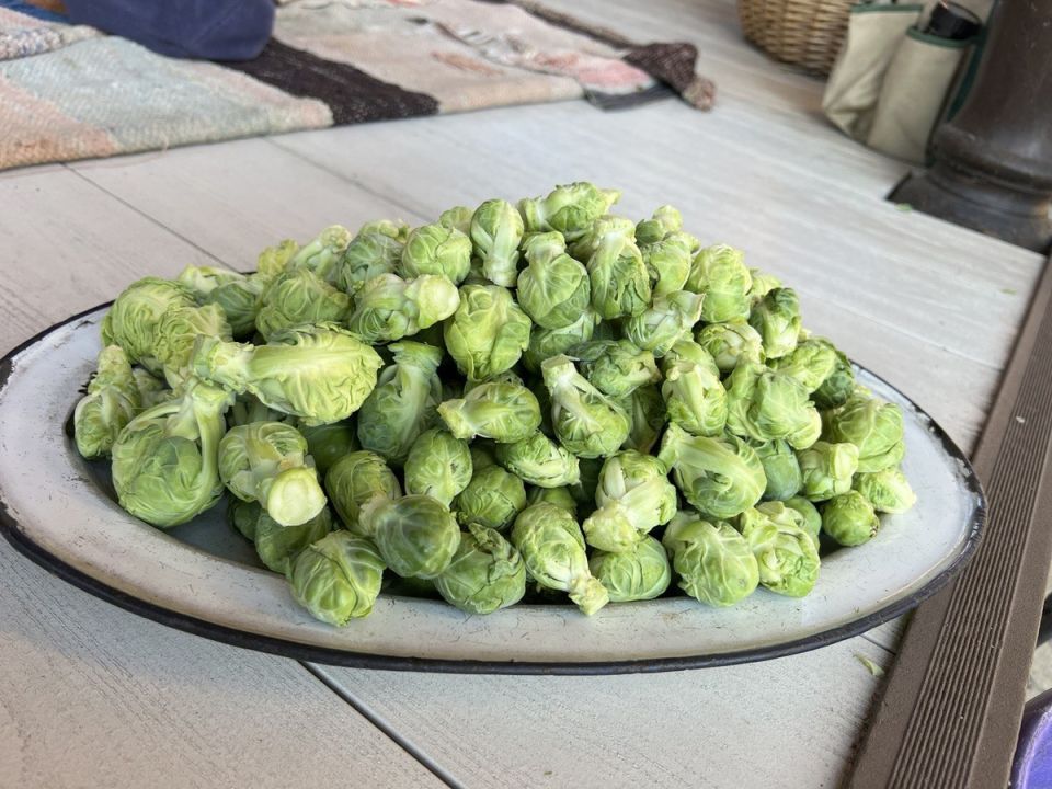 ������� � ����������� �����: ��� ����� �����