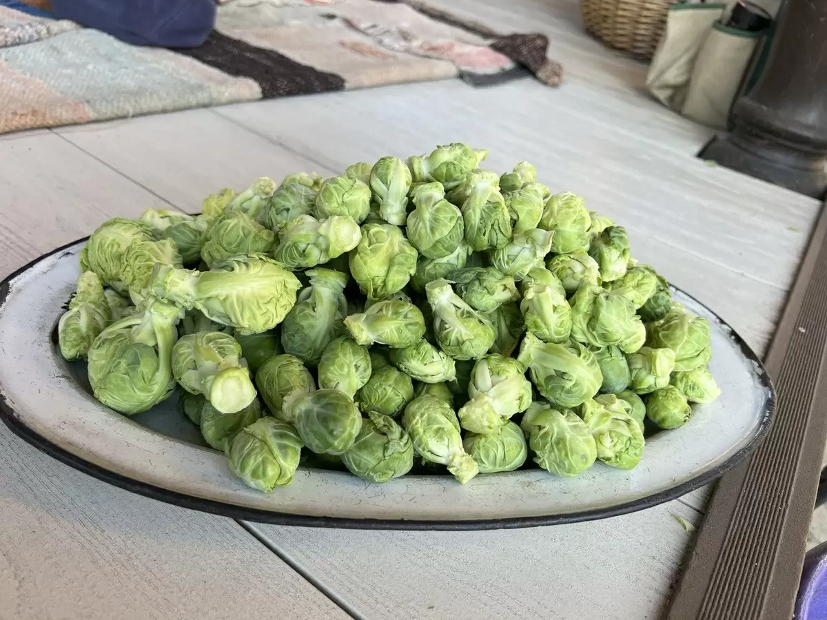 Сложные в выращивании овощи: что стоит знать