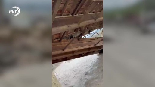 ��� ����� ��� ������� ���������