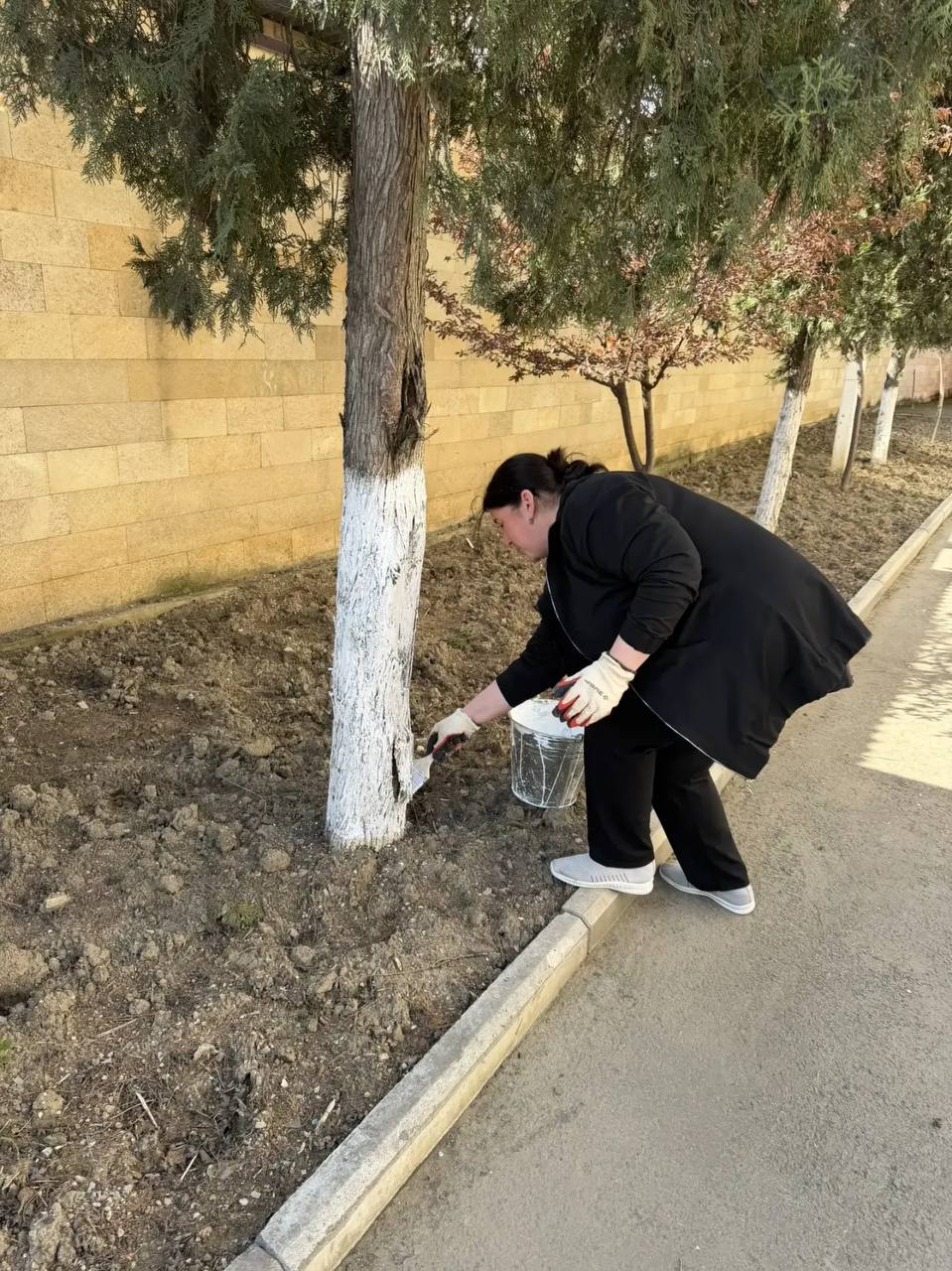 Сегодня, 11 апреля, в Дербенте проходит общегородской субботник Сегодня, 11 апреля, в Дербенте проходит общегородской субботник