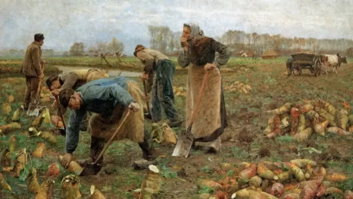 Овощи на Русских Грядках: Традиции Сельского Хозяйства