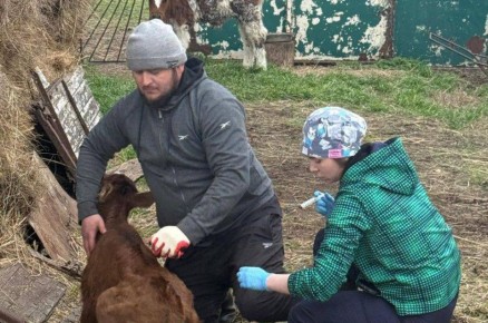 ����� ��������: ��� �� �������?� � � ������: ��� �����