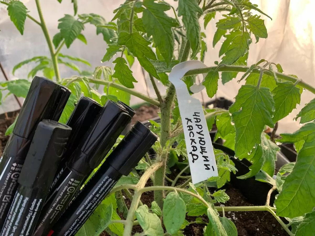 Лучшие маркеры для маркировки, которые выдерживают испытание временем