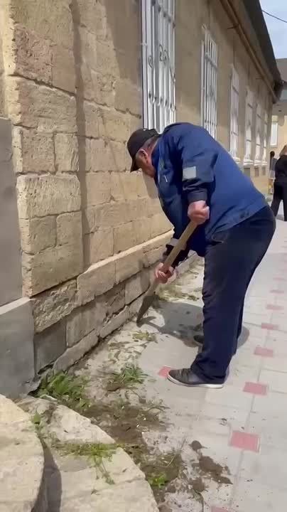 � ������ �������������� ���������� �������� � ������������� ������������ ���������������-��������������� �������� ����� �. �. ������������ ����� �� ���������, ����� ������� ����� � ������� � ������� ������� ������