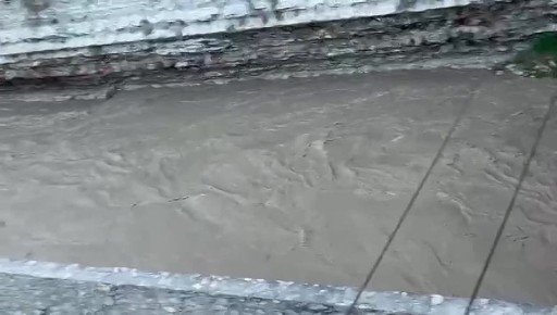 � ����� ��������� ����� ���������� �� ������� ��� �� ���� �������