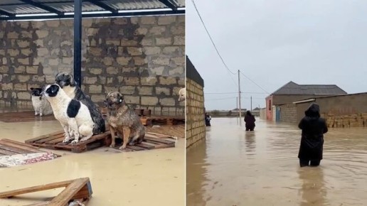 1 � ��������� ������ �������� �� ������������ ������