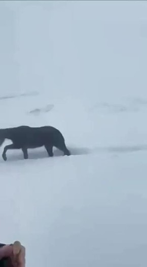 � ����� ��������� ��-�� ������� ���������� � ������� ������� ����� ����� �������