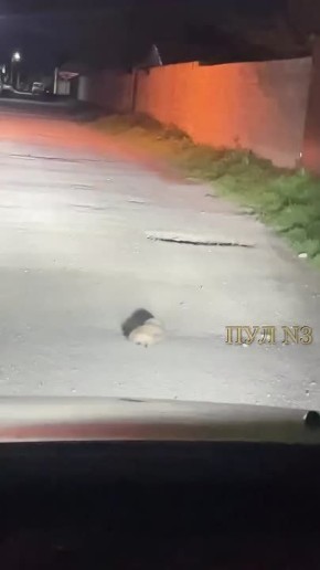 ������ ������ ������ � ����� ������� ����� �� �����. ����� �������. � �������, ��� ���� ������ �� ������ ���. ������ �� ���. ���������� ����� � ��� ��� ���. ���� ������� ���: