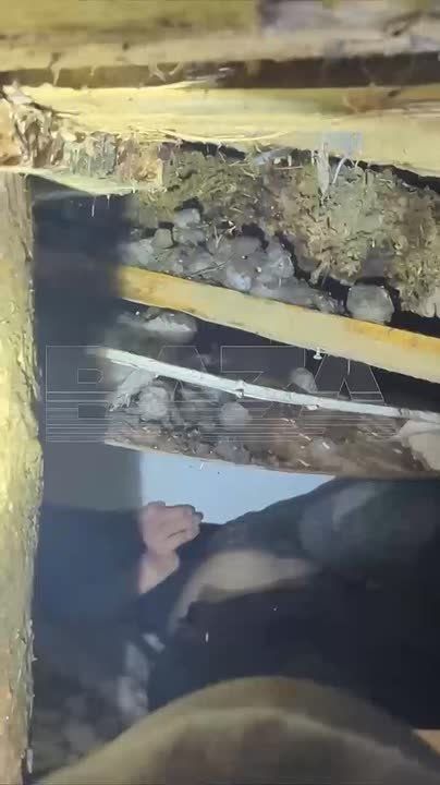 ������ �������� ������ � ������ ��-��� ������, �������� �� ������������ ���� ������