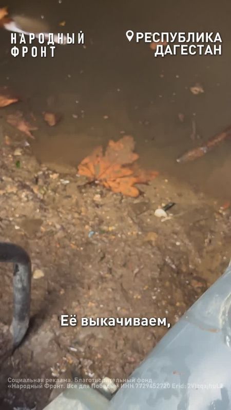 ���� ���� ���� �������!... ������� ������ �������� �� �������, ������� � ����� � �������� "�������� �����", ������� ������-�� ����� � �������� ����