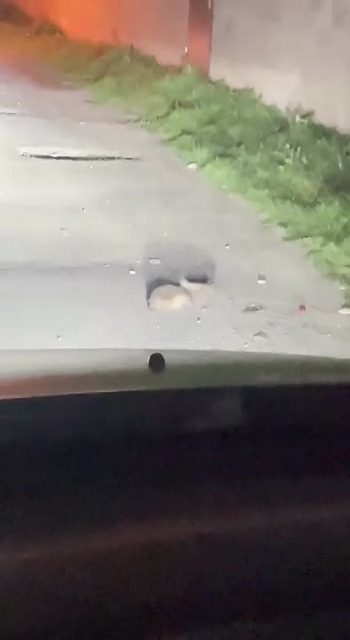 � ��������� ���� ����� ���������� ���