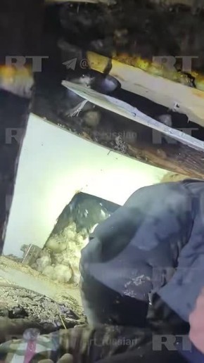 �������� RT: �������, ������� ������ � ������� �������� �� ����������� ������� ���� � ���������, ������ � ��������