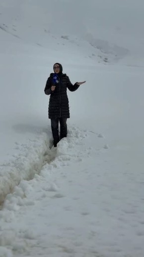 ���� ������ ���������� ������ ��������� � ������� ������� �� ������ ����� 2000 ������