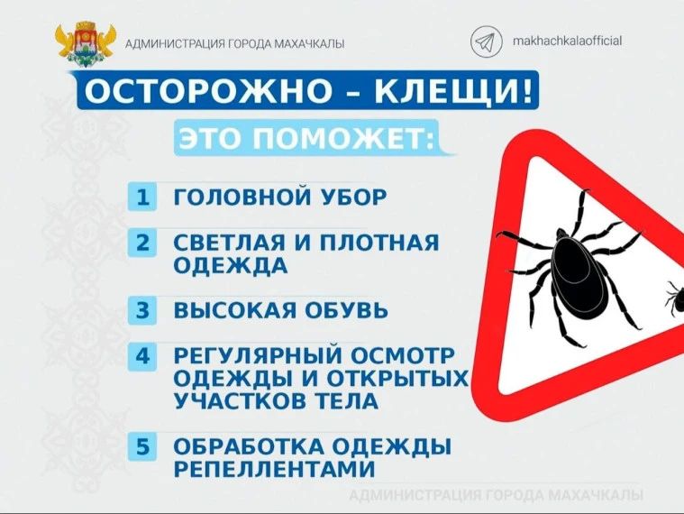 ������������� ������ ���������