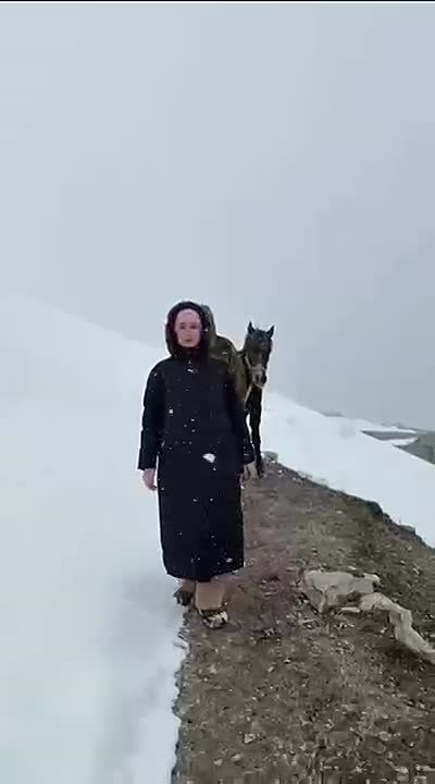 ���� �������, ������������ ����� � ������ �� ����� ������