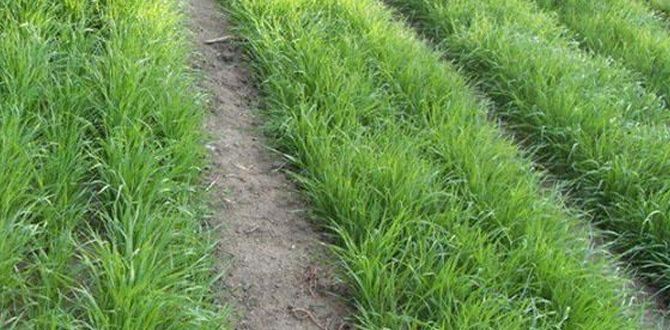 ��� �������� �������� ������� ������ ����������� ��� ������ �� ���������