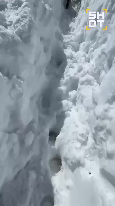 �������� ������������ ������� ������� � ����� ���������
