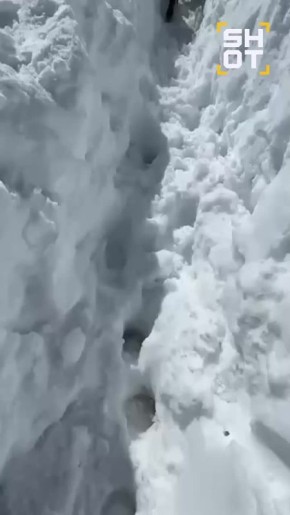 �������� ������������ ������� ������� � ����� ���������