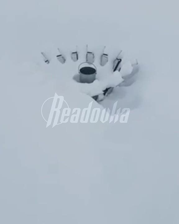 � ��������� ���� ��������� ��� ������ �� ����� ������������ ������������ ������