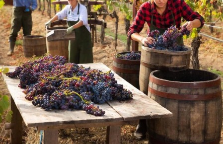 �������� ������������� ���� ����������� ���������� ����������� 98% ������� ���������