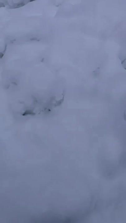 �������� �������� ����� ����� ������ � ���������� ������