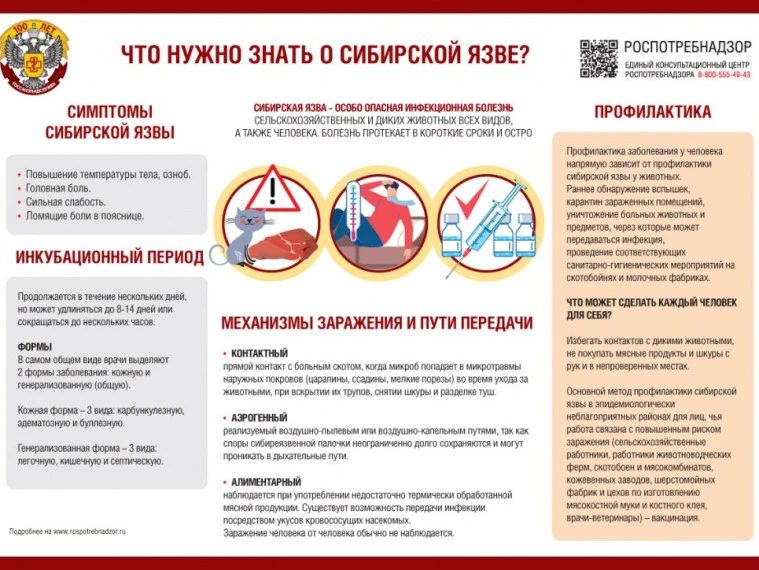 � ����� ������������ ��������� ����