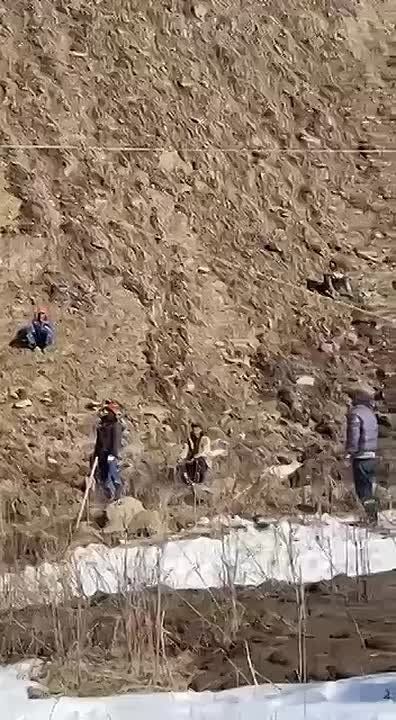����������� ���������� ������������ ���������������� � ���� ������ ���������� ������� ������������ ������ ���������