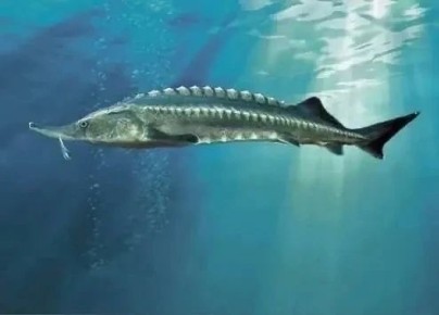 ��������� ���� ��������� � ����� ������!