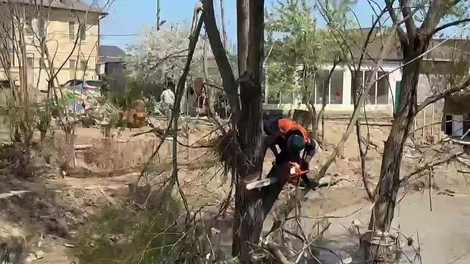 � ����������� ������ ������������ ������ �� ���������� ����������� ���������� ��������, �������� ��� ���������