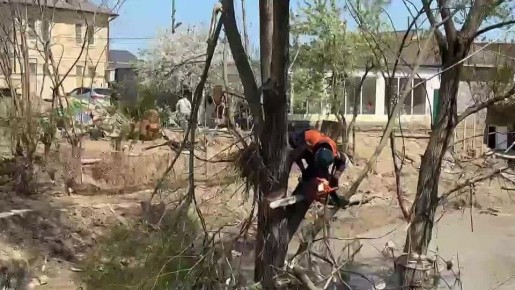 � ����������� ������ ������������ ������ �� ���������� ����������� ���������� ��������, �������� ��� ���������