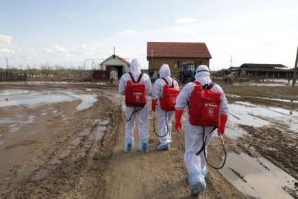 ������� ����������� ���� ��������� ������ � �������������� ������