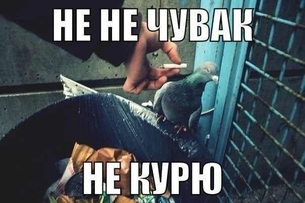 ����� ��������� �������� ������ ����� �����