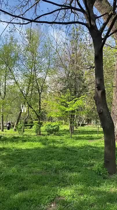 ������ ����, ������!. ���������� ��� � ���� ��������� ���� �� �������� � ����� ��. ���� �������