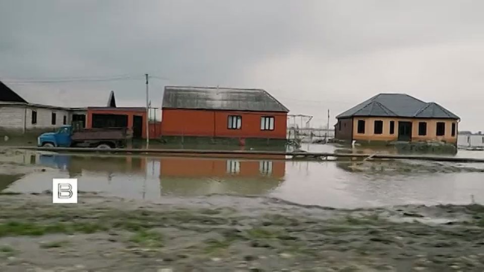 ������ ������ ���������, ������������ �� ����������, ����� ������������ �� ������������ ������ � ����������� ����������� ���������, ������� �� "�����" ����� ���������� ������ �������