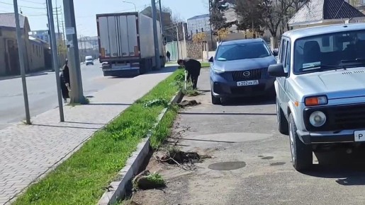 ��������� � ����� �������. ������� ����������� � ������ ������� � �� �������� �������� �� ����������� � ������� ��. �. �������