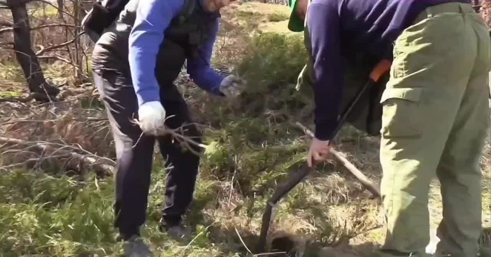 � �������� ���� �������� 4 ������ ��������