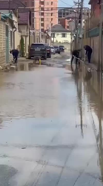����������� ��������� ���������� �������� ��������, ������������ �� �����������